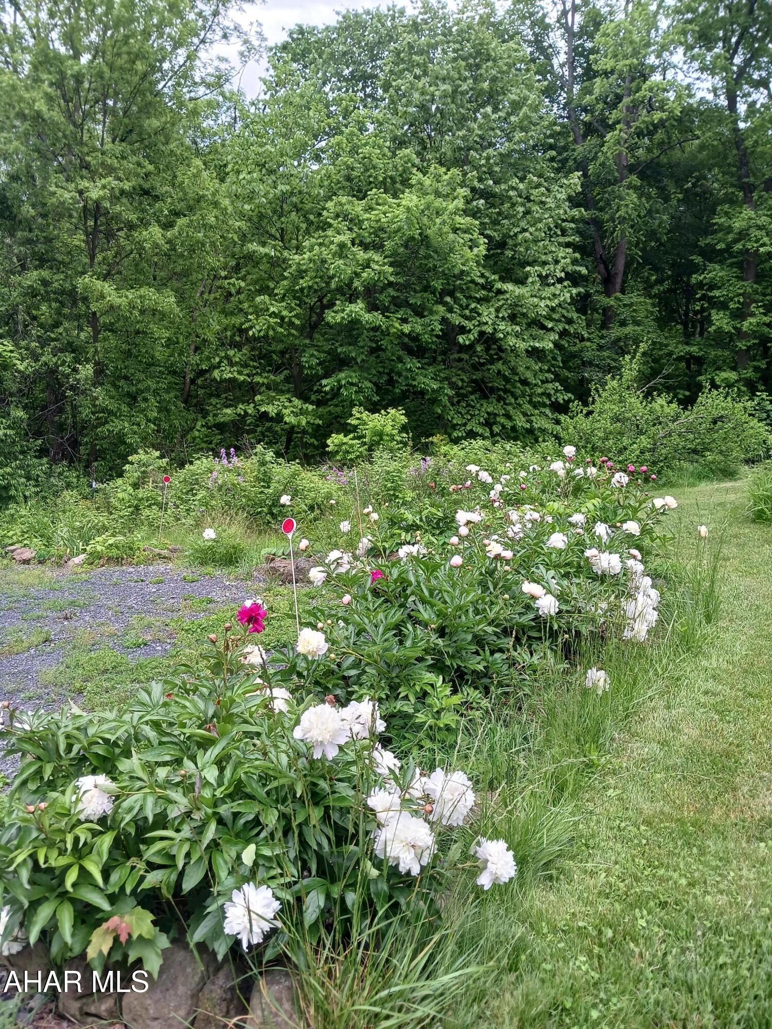 Catherine Township - Residential