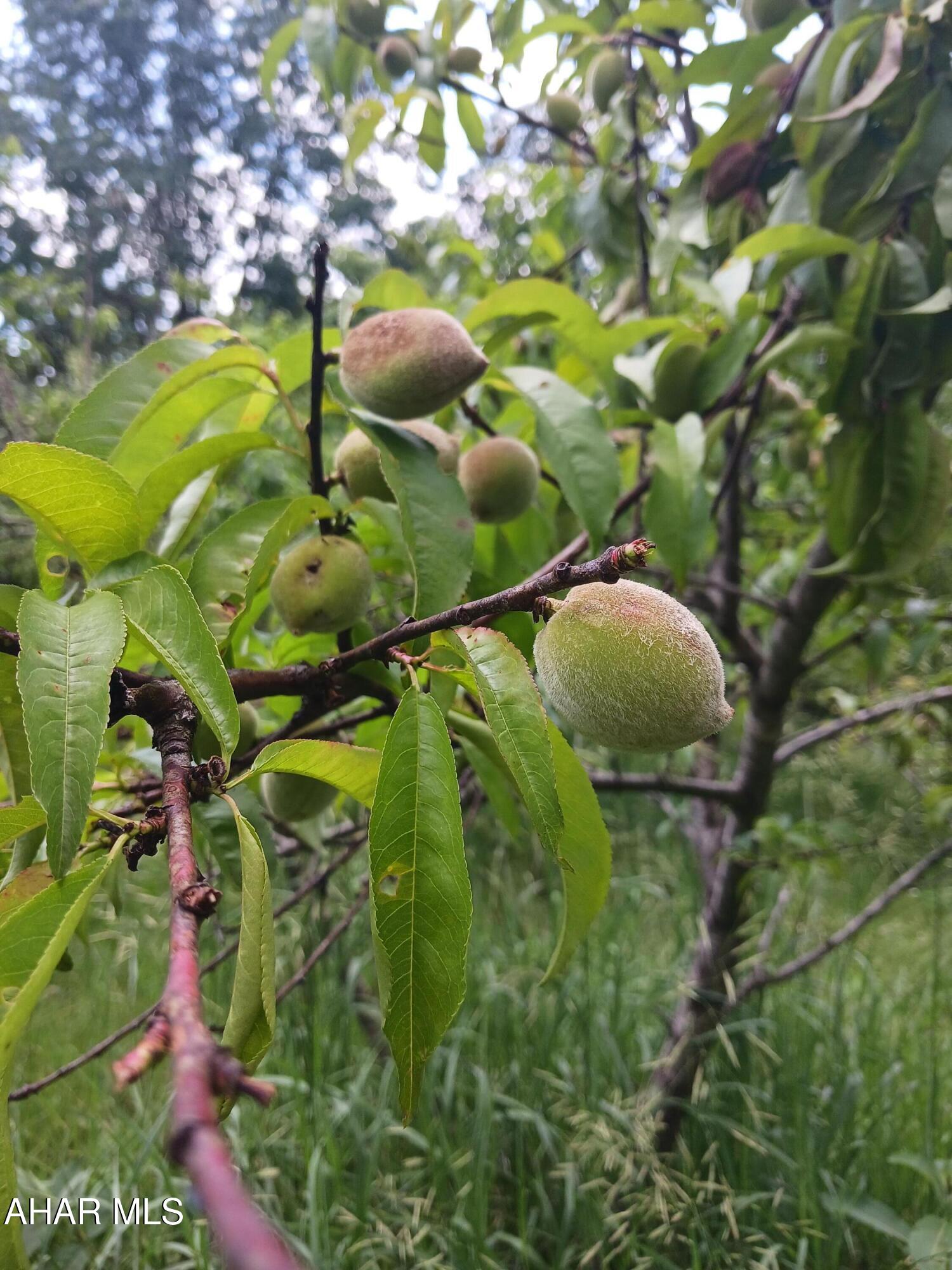 Catherine Township - Residential