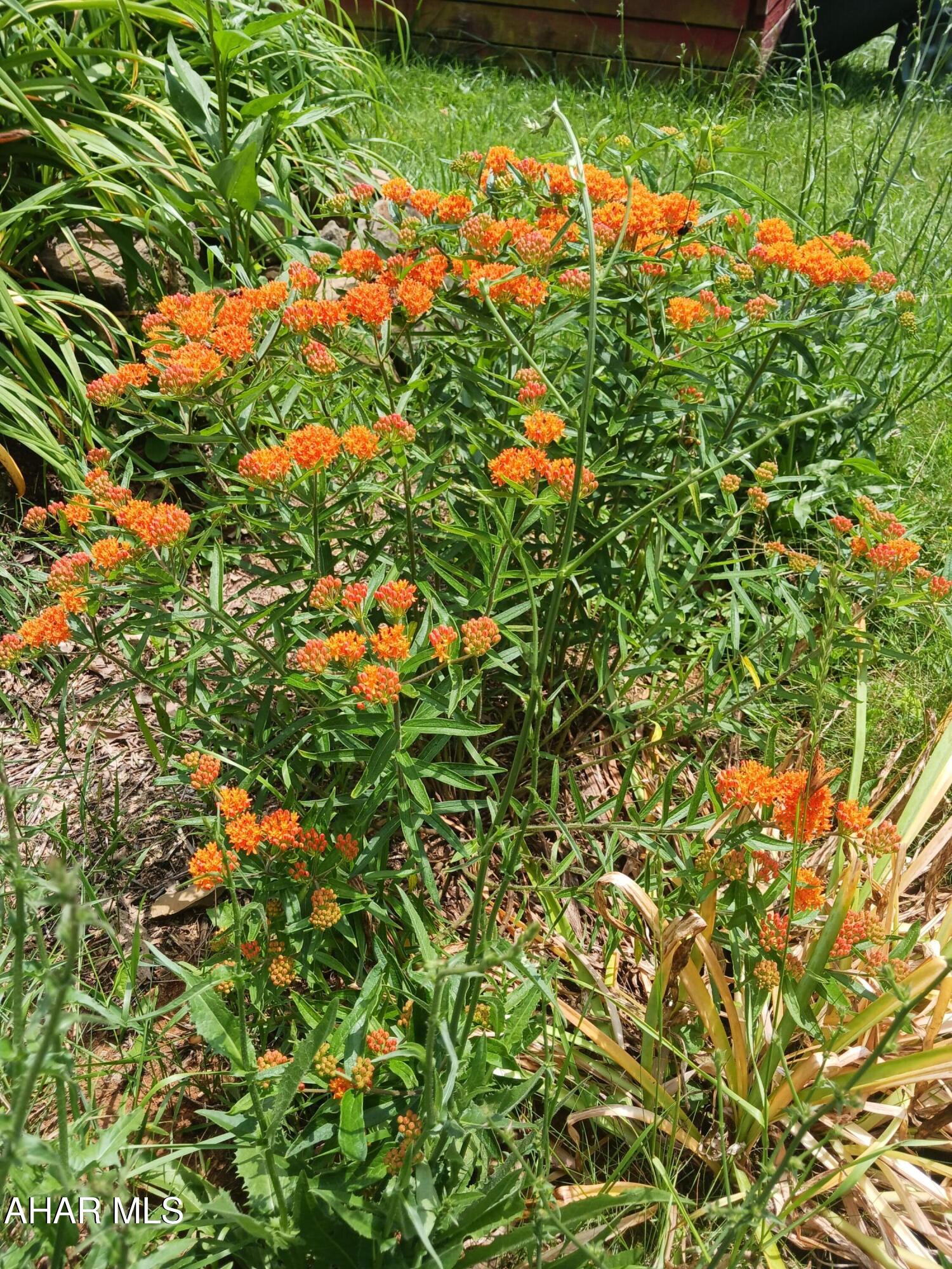 Catherine Township - Residential