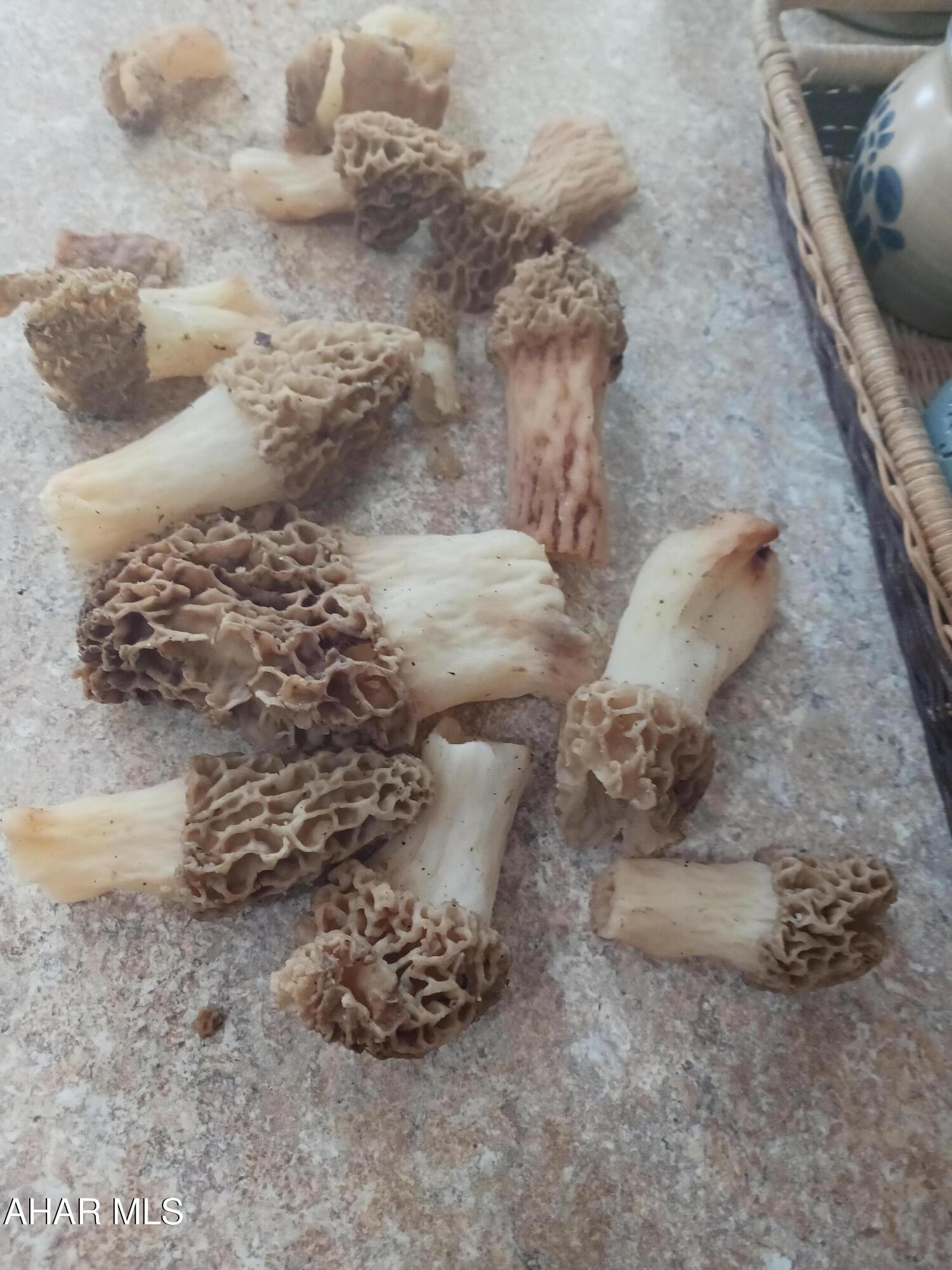 Catherine Township - Residential