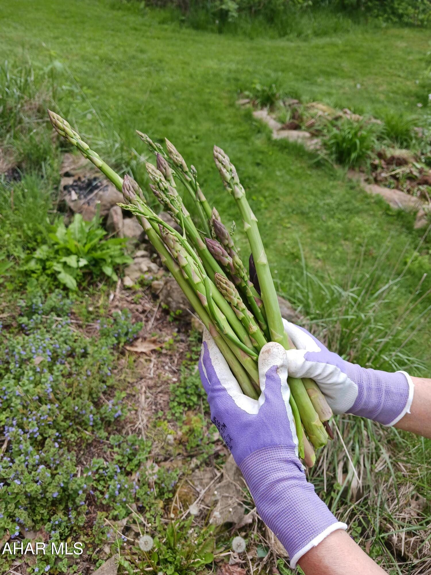 Catherine Township - Residential