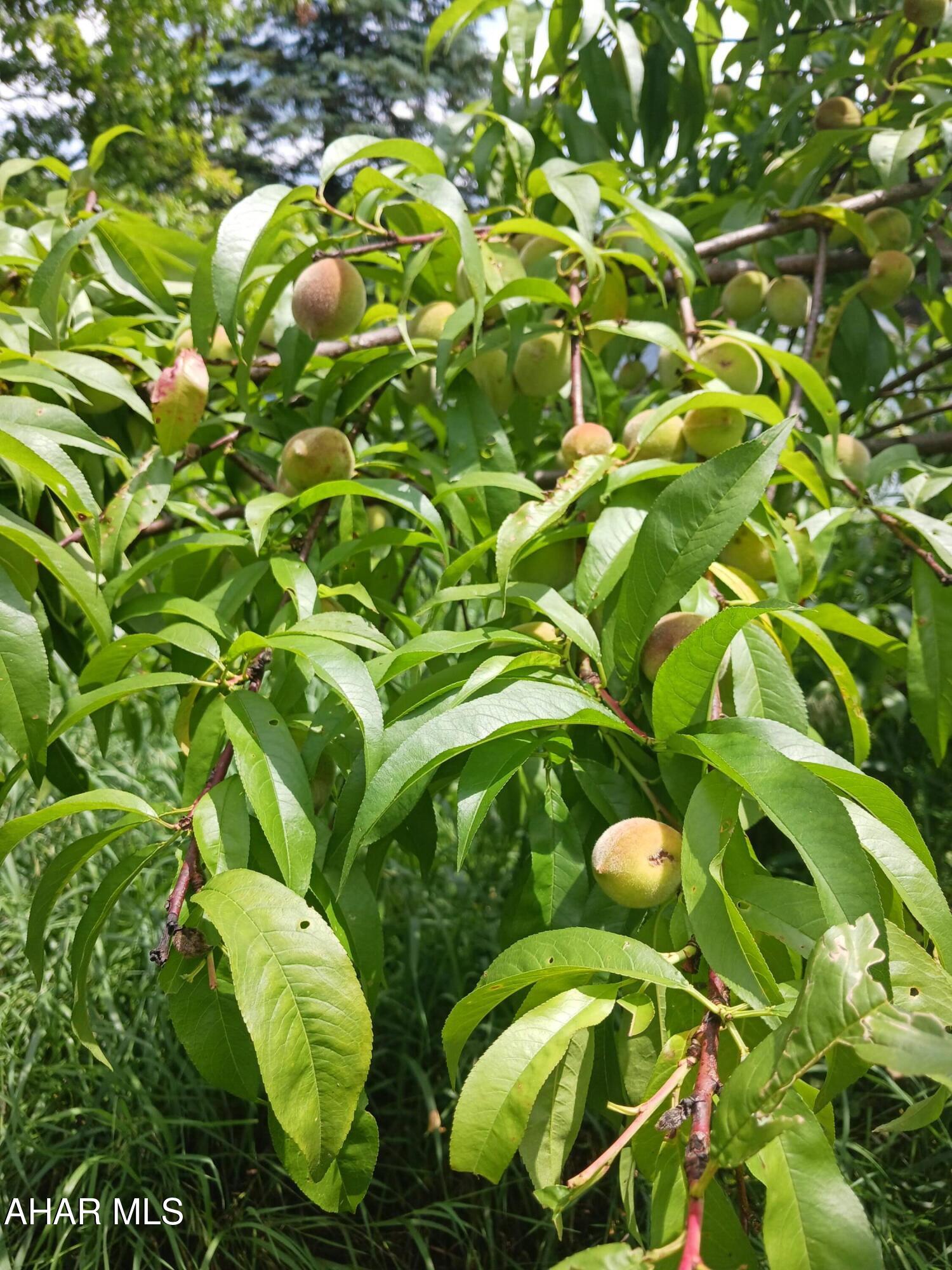 Catherine Township - Residential