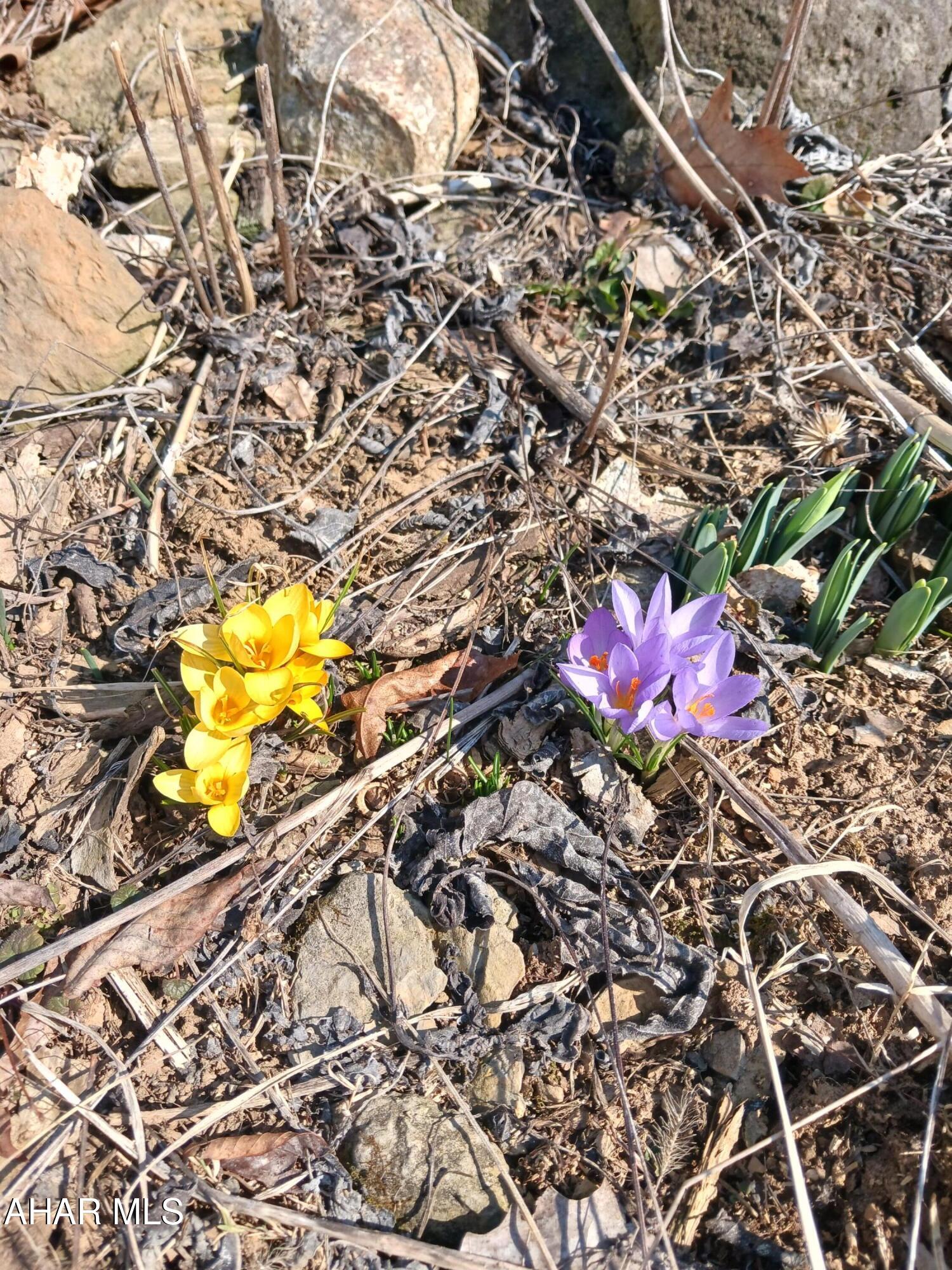 Catherine Township - Residential