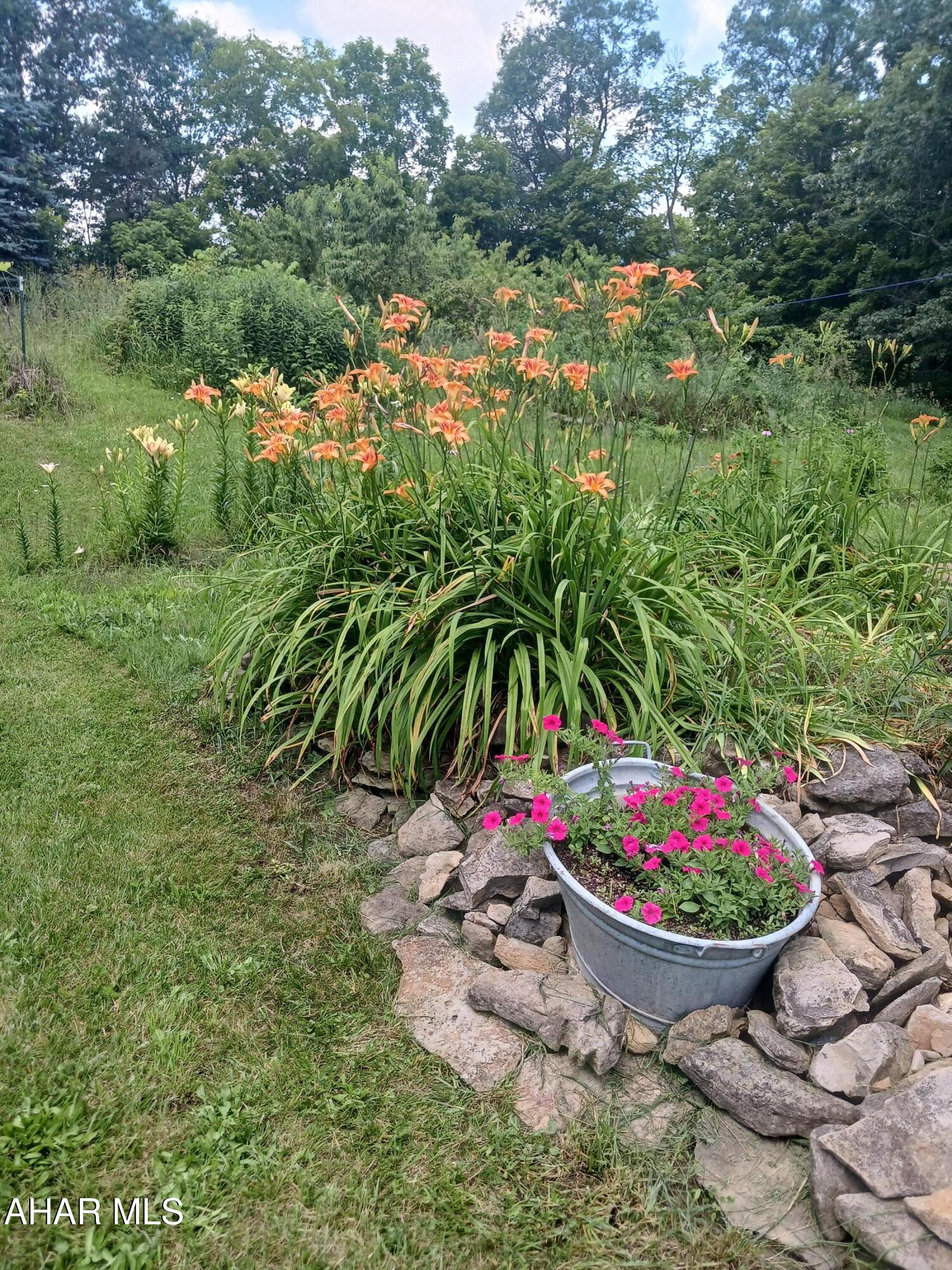 Catherine Township - Residential