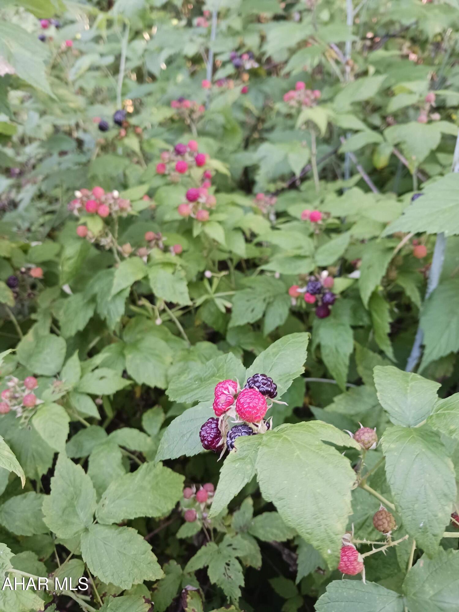 Catherine Township - Residential