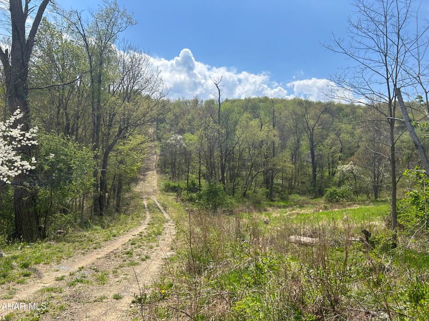 Endless opportunity to build on 8 Acres in Allegheny Township. Bank owned
