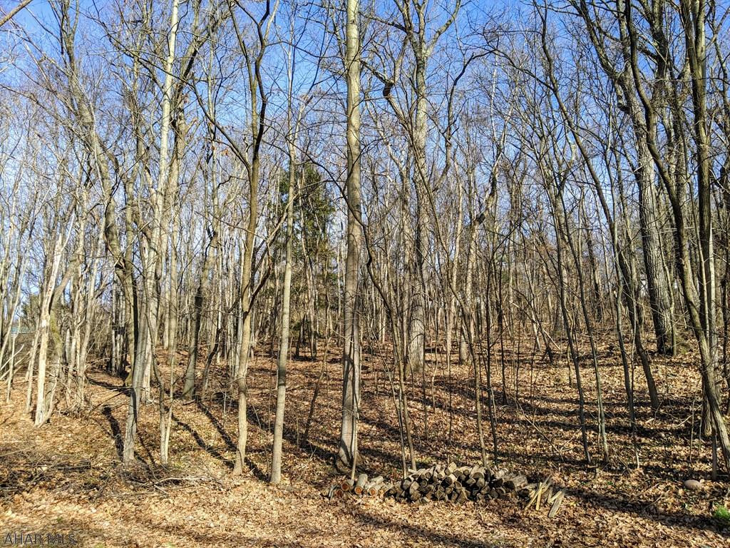 Lakemont - Residential