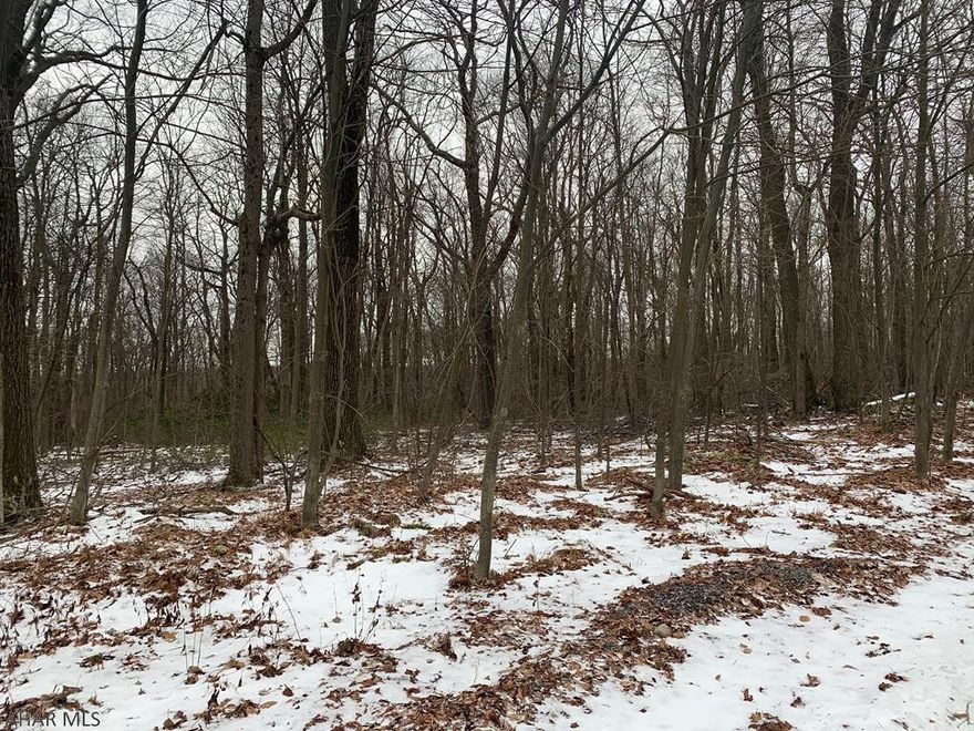 Wooded building lot at Blue Knob All Seasons Resort with public water, sewer & electric on site.