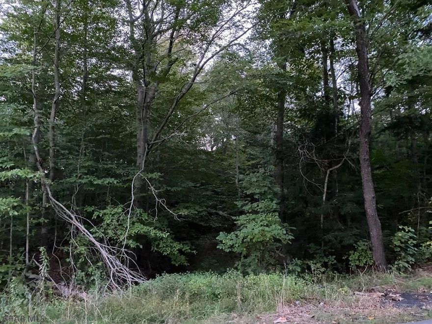 wooded acreage bordering Ghost Town Trail, contingent on subdivision approval