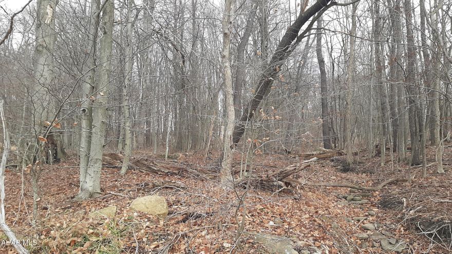 Nice building lot in Penn Cambria SD. Public utilities available. Call for details