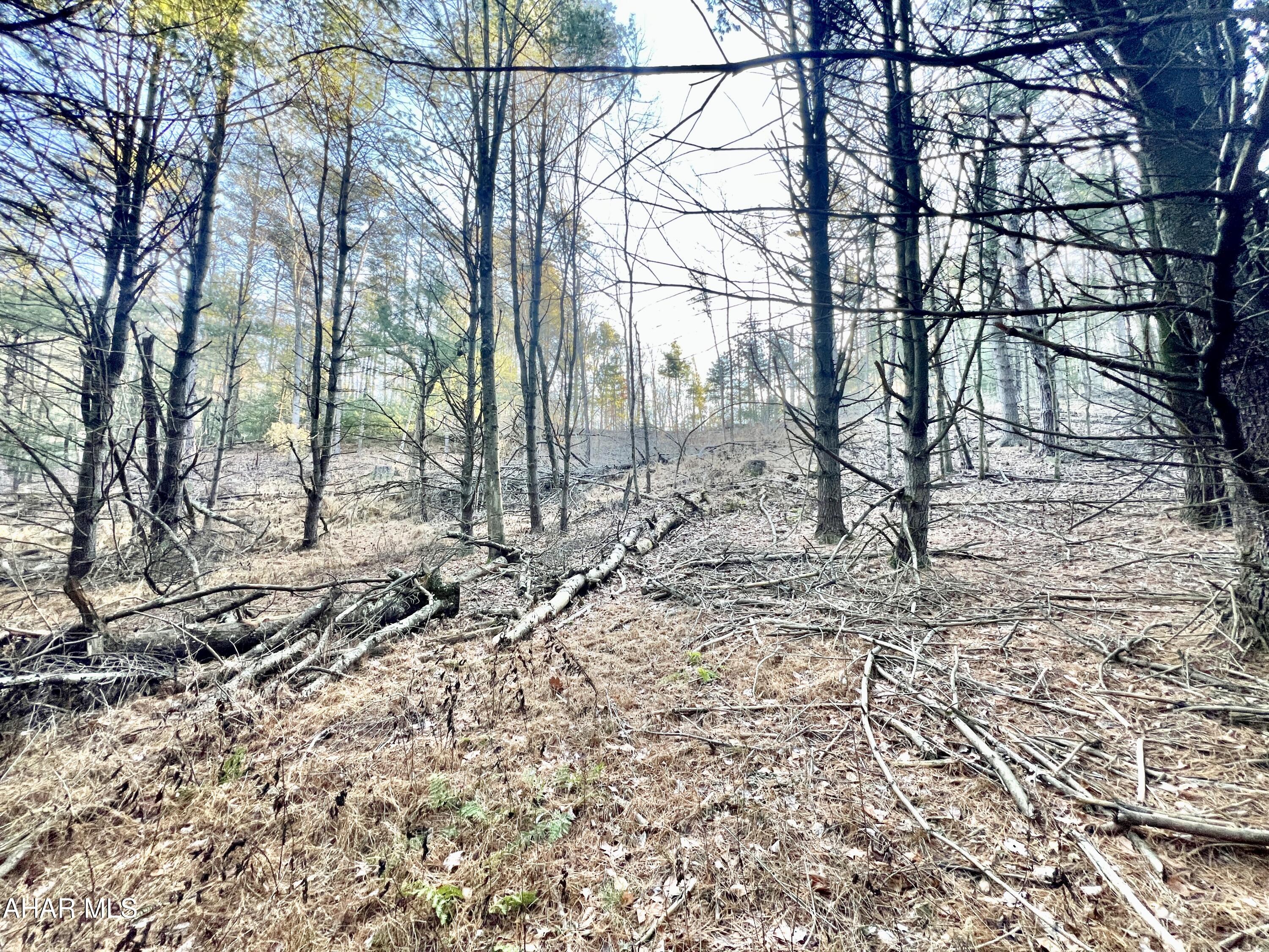 None - Commercial Sale