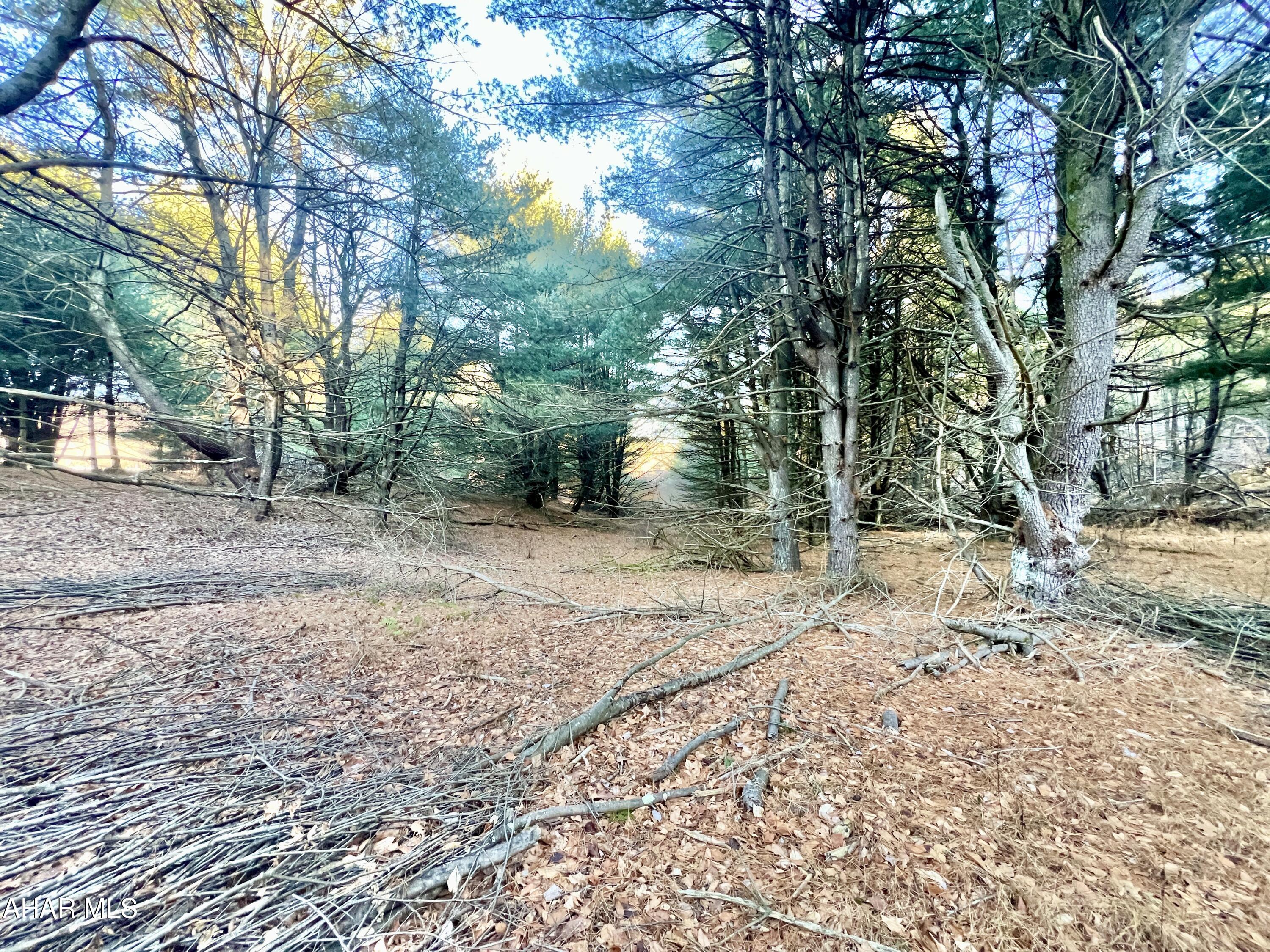 None - Commercial Sale