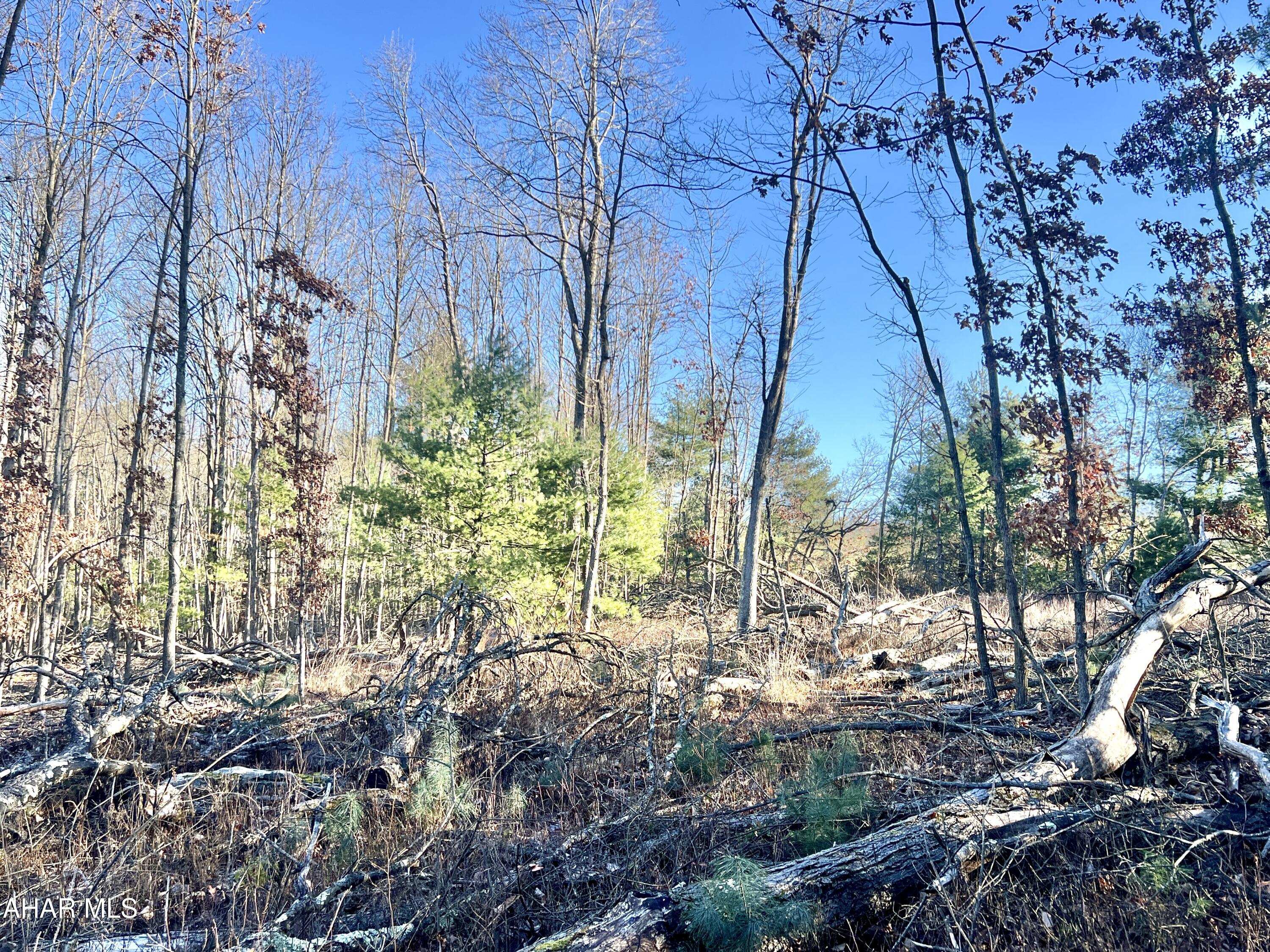 None - Commercial Sale