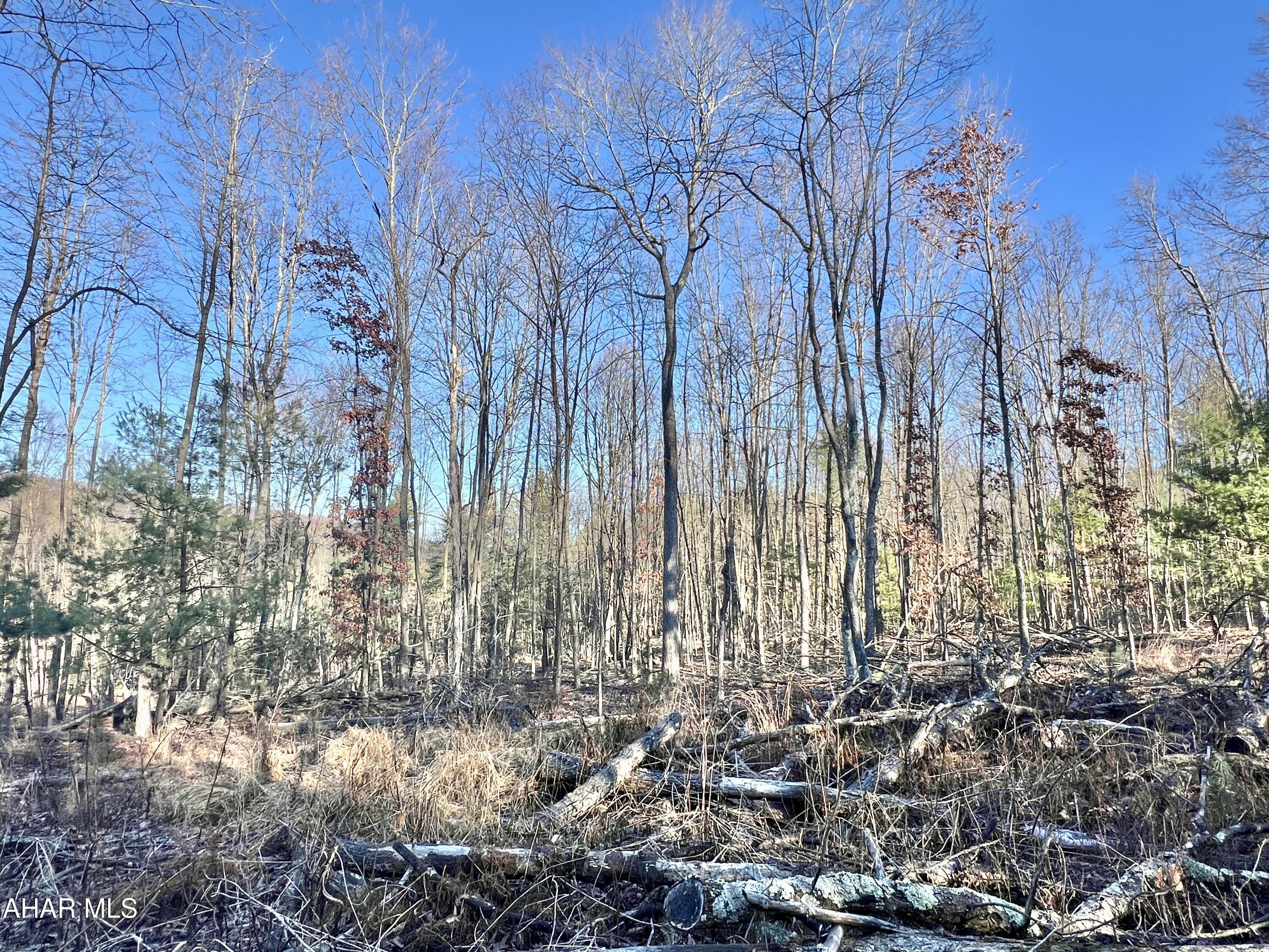 None - Commercial Sale