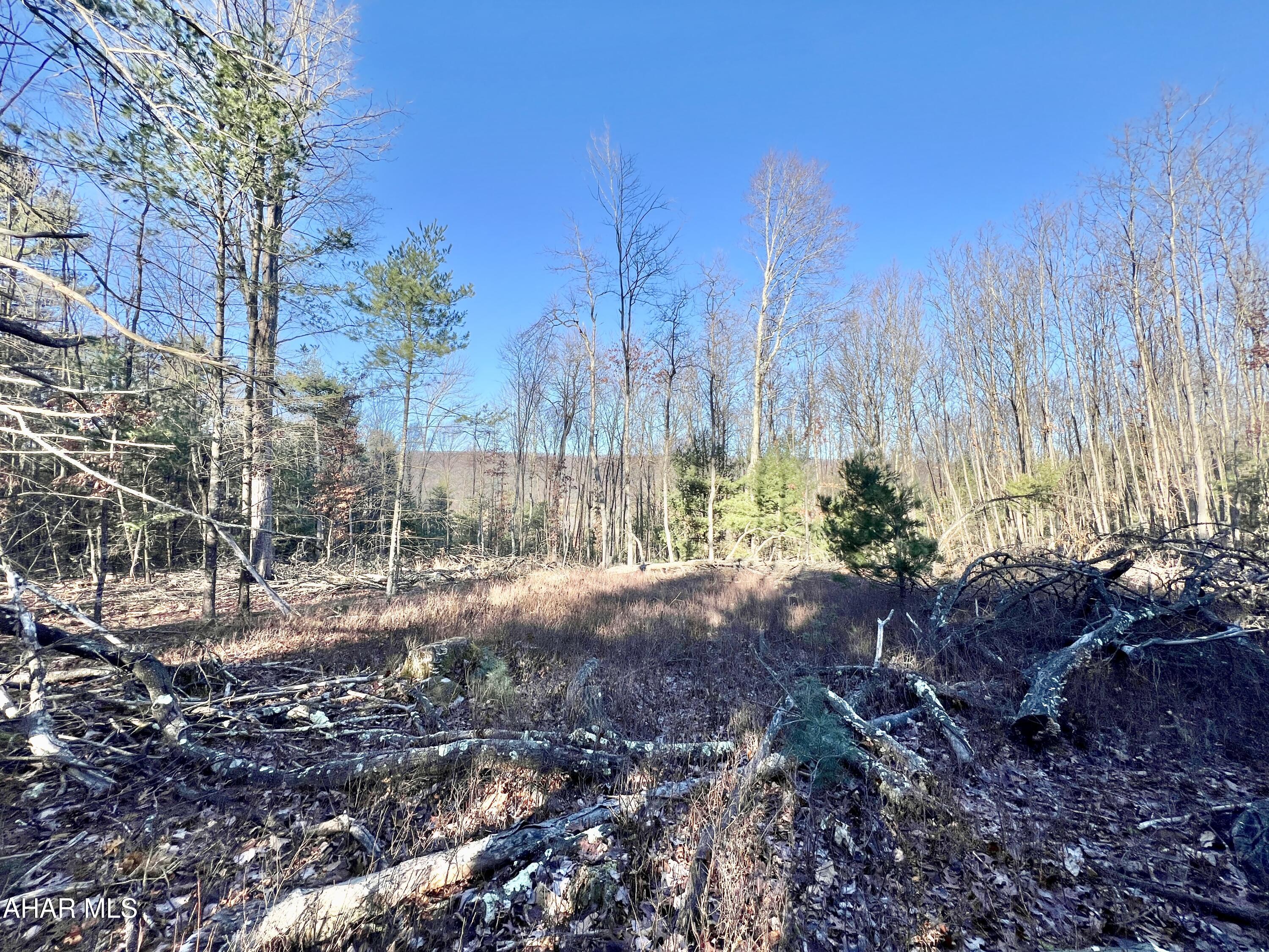 None - Commercial Sale