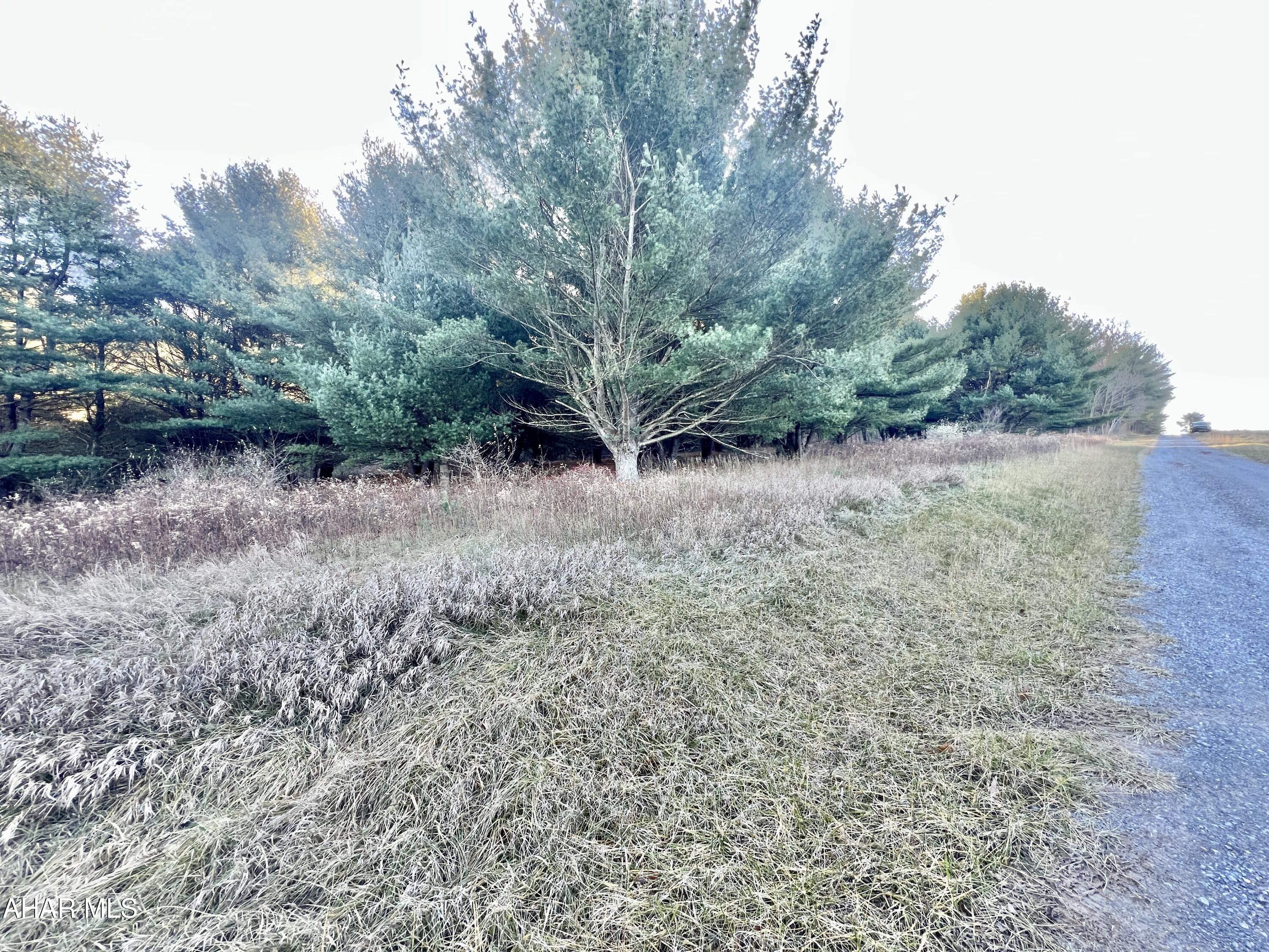 None - Commercial Sale