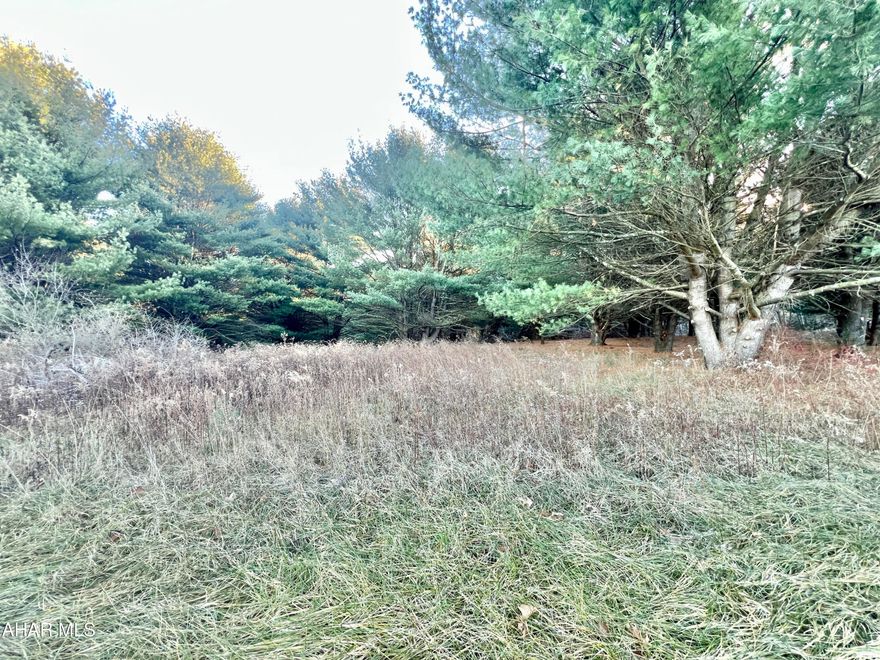 Nice wooded parcel of land consisting of 9.4+/- acres. Would make a great location to build a getaway or full time residence. Located just a few minutes from PA State Game Lands # 65. Property has not been perc tested.