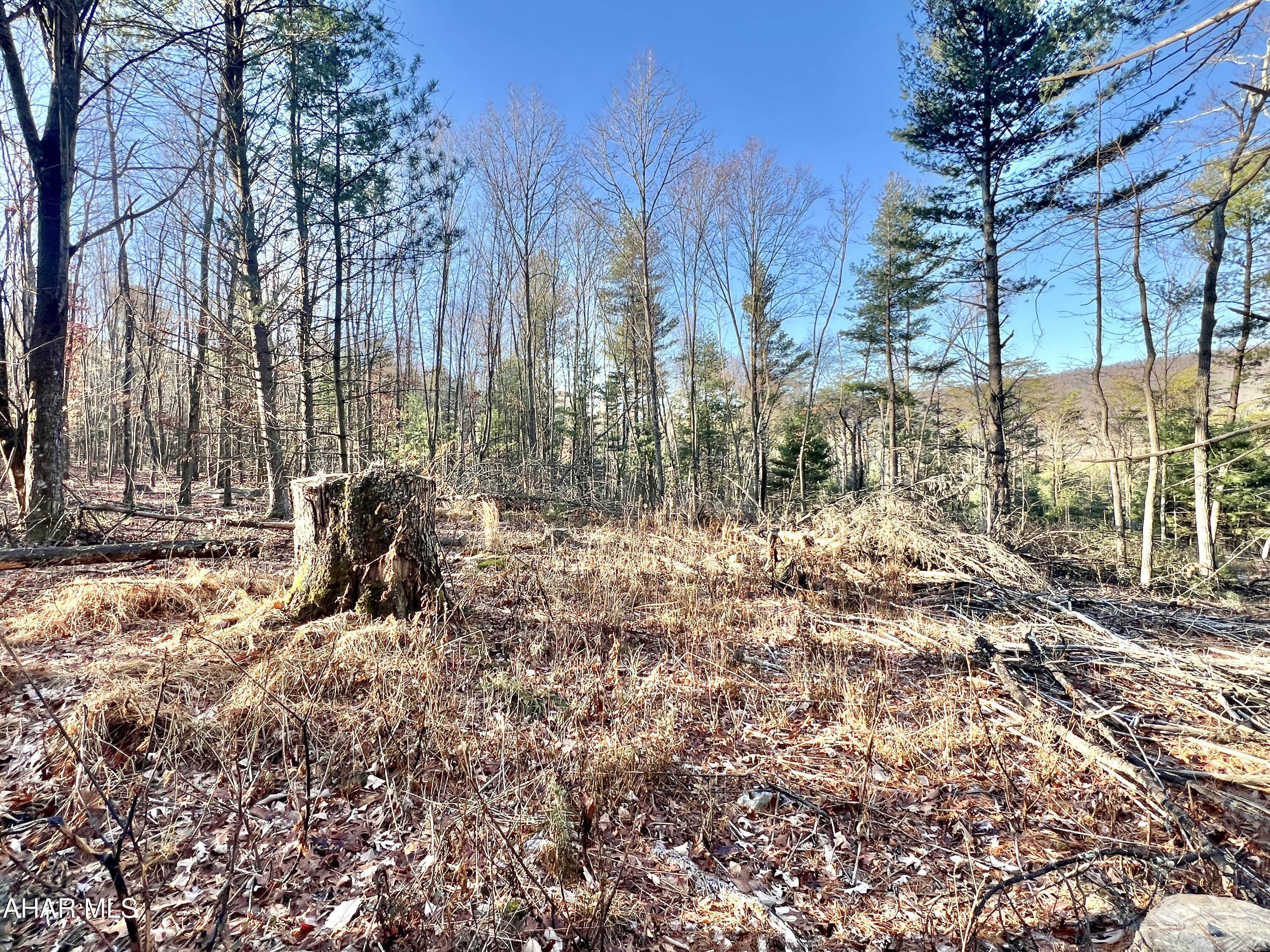 None - Commercial Sale