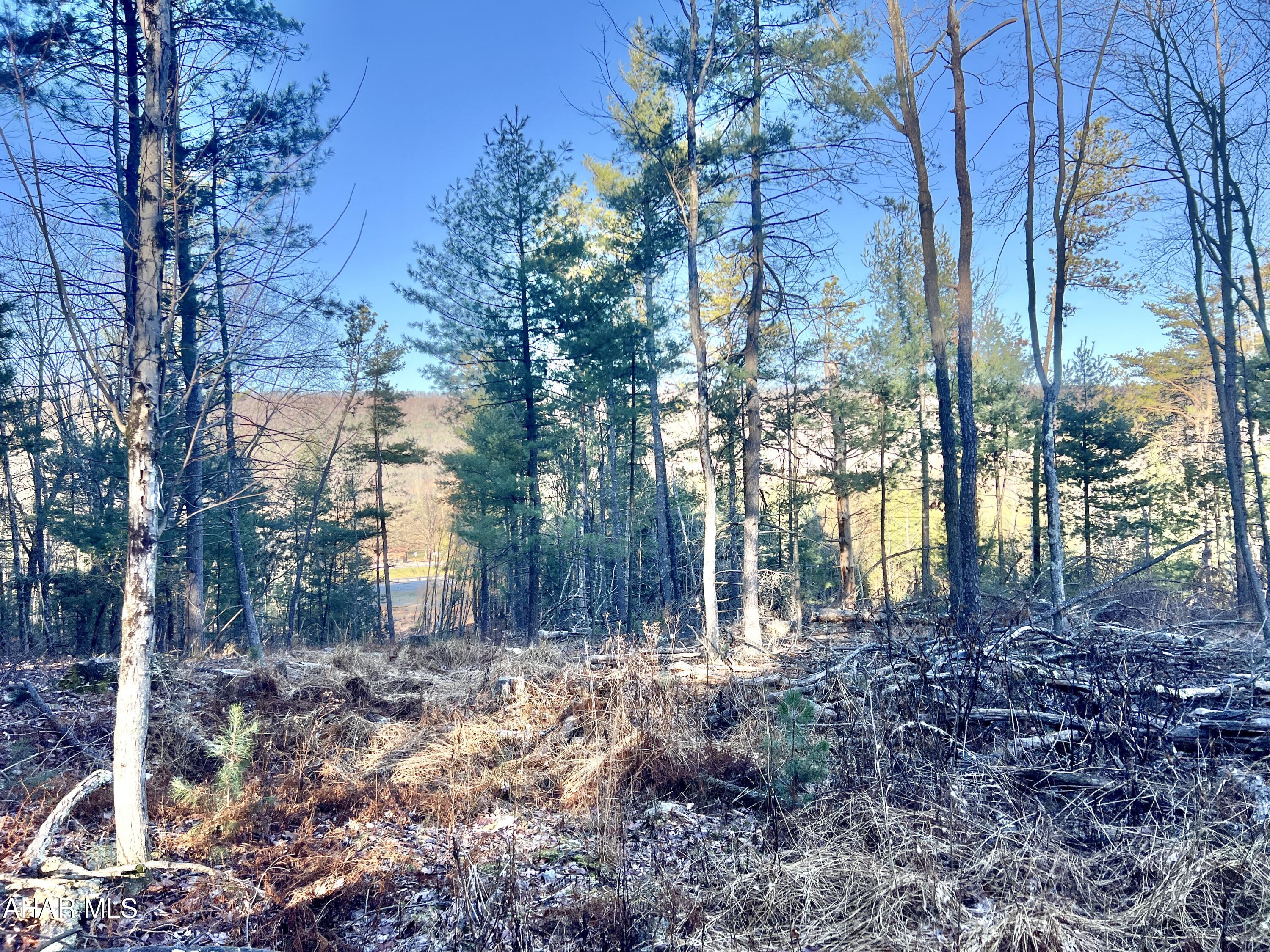 None - Commercial Sale