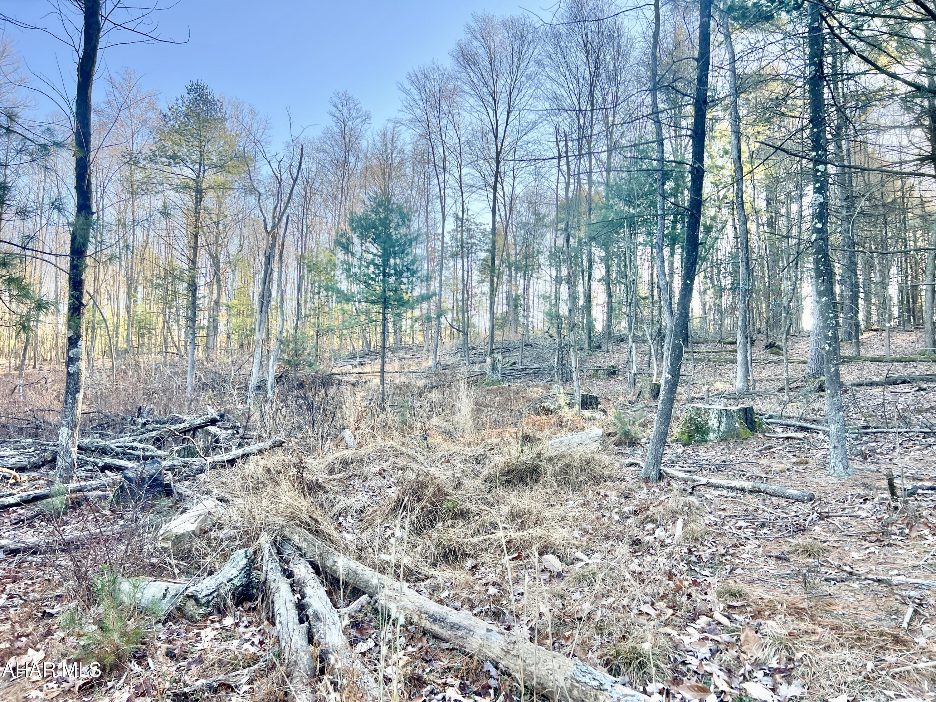 None - Commercial Sale