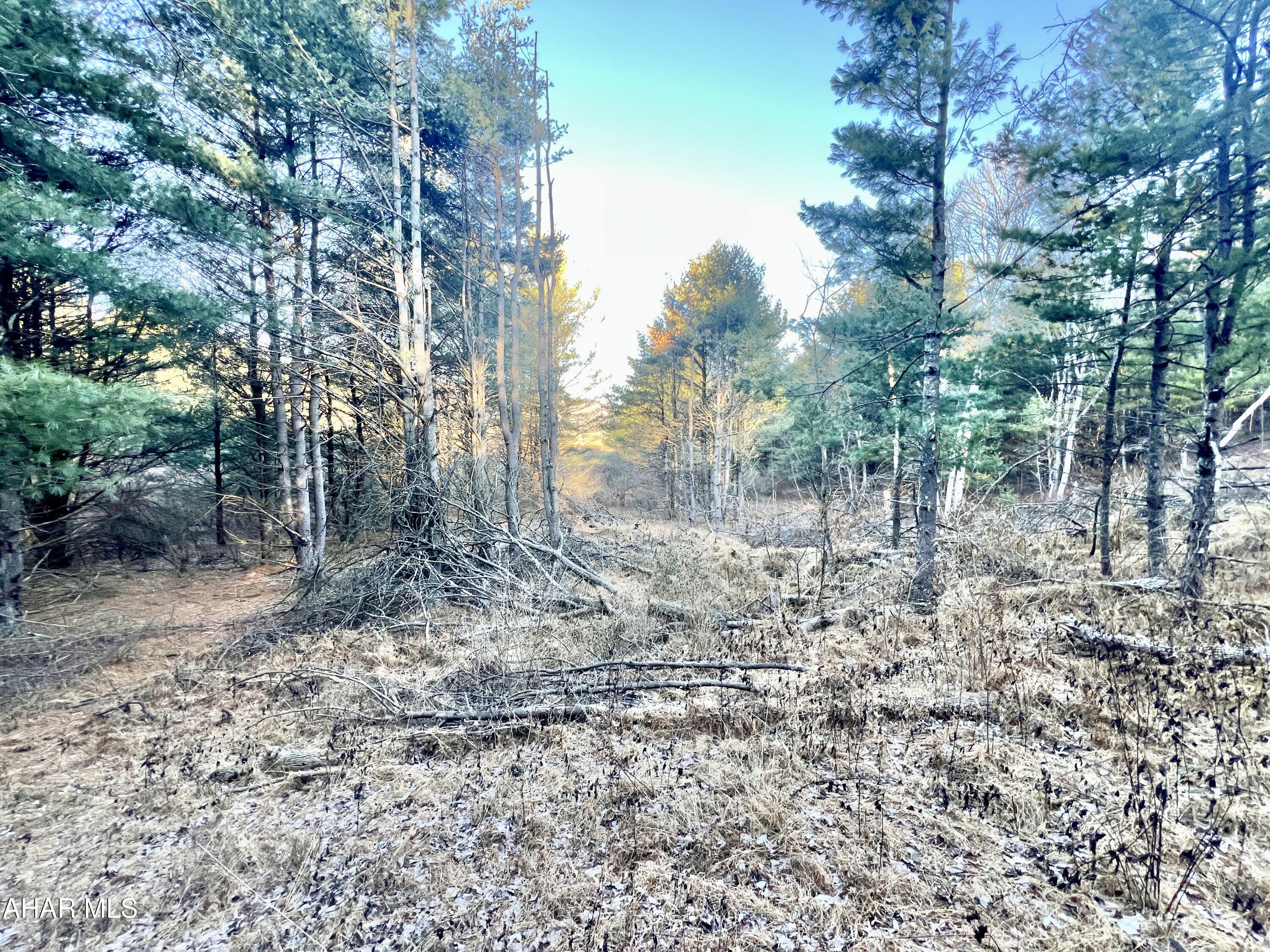 None - Commercial Sale