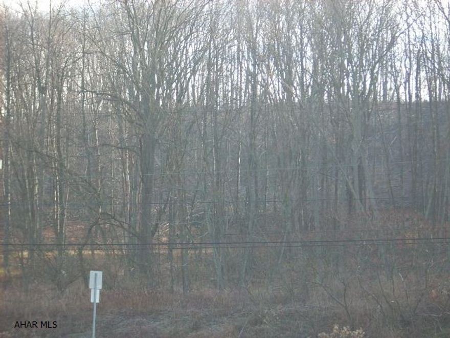11 acres available in Tyrone. Public utilities available and are already brought to the lot line. Priced to sell at only $79,900.