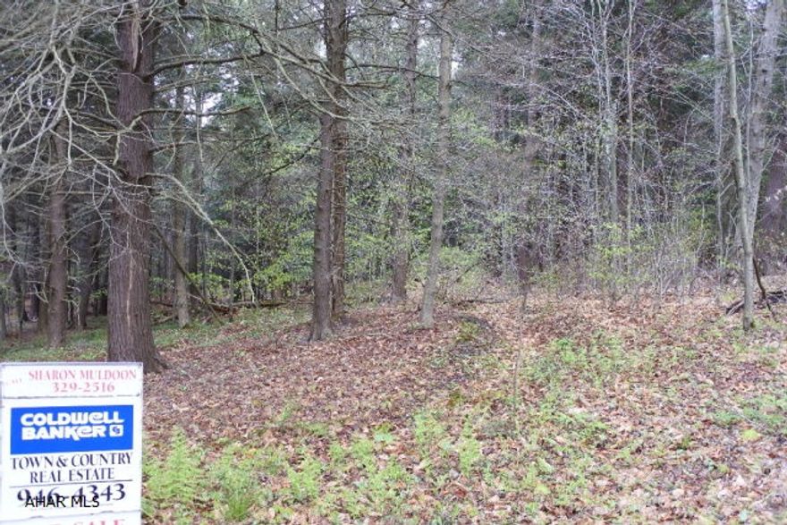3.1 beautiful wooded acres...stream goes through the lower portion.  Perfect for a homesite or camp. Secluded, yet close to Rts 164 and 22.