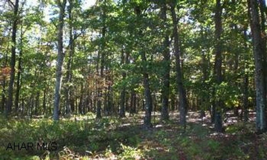 Enjoy some privacy on 105.973 acres of wooded land w/ some outstanding views of the surrounding countryside. Excellent hunting property and close to State Game Lands. Suitable for year round living or recreational use property. Enjoy some privacy on 105.973 acres of wooded land w/ some outstanding views of the surrounding countryside. Excellent hunting property and close to State Game Lands. Suitable for year round living or recreational use property. DIRECTIONS: From Bedford  take Rt 30 East to Everett. At the 2nd stop light make a right & continue to Rt 26 South. Follow to Clearville & make a right a the Post Office continuing on Rt 26 South. Follow to the 1st left on Pleasant Union Church Rd. Follow to a right onto Beegle Rd. Property's access road is after Amaranth Church on right.