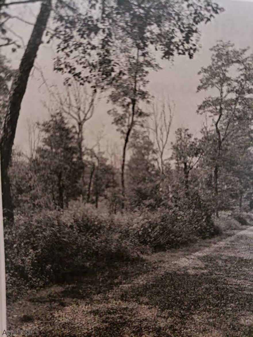 FOR COMP PURPOSES ONLY