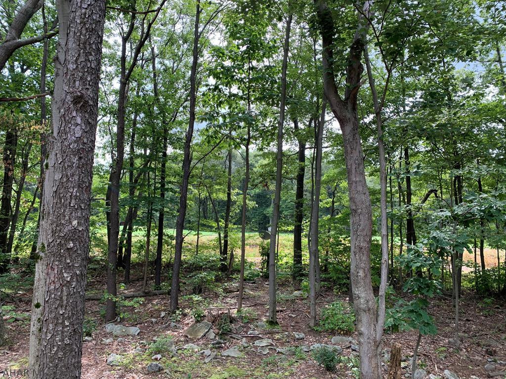 Blue Knob - Residential