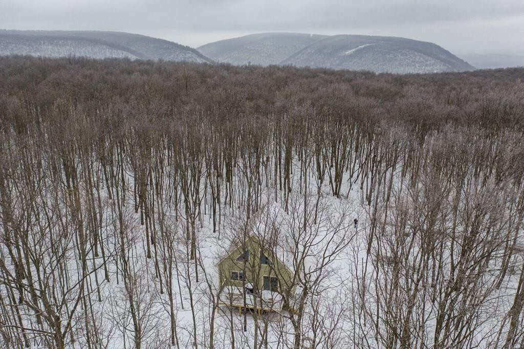 Blue Knob - Residential