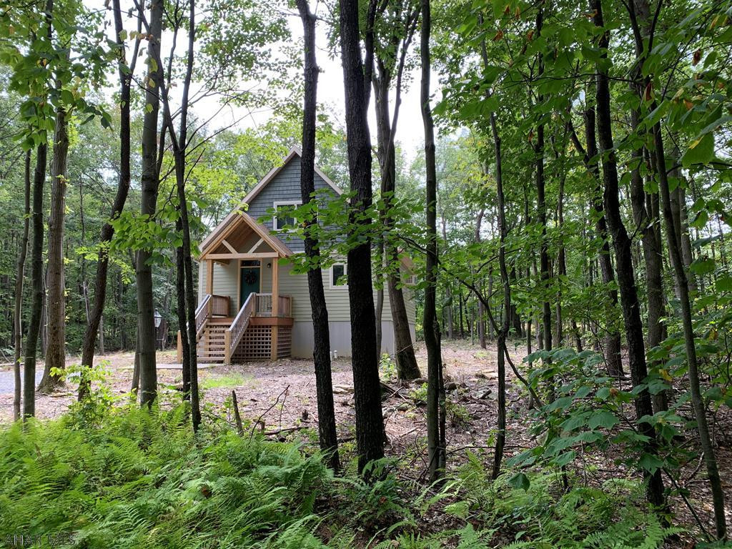 Blue Knob - Residential