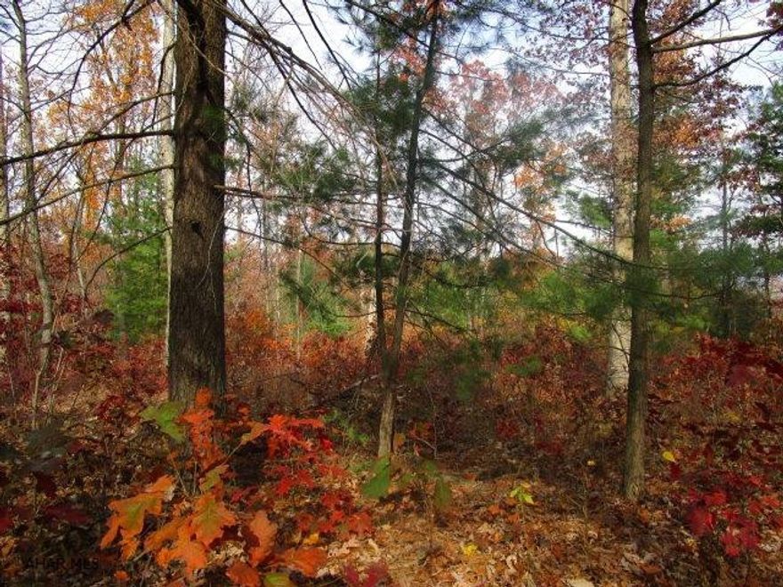 Rare opportunity for 14.7 wooded acres just outside town. Private well currently on property, public sewer currently available according to township, public water also in area. This would make an excellent, private single-family building site, multiple building sites or recreational land. No zoning.