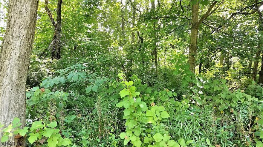 One acre lot located on the northern side of Everett Borough. This wooded parcel offers the availability of a building site within the Borough, but has more of a country feel to it. There are two wells on the property, but the water level and quality is unknown. The site has not been perk tested.