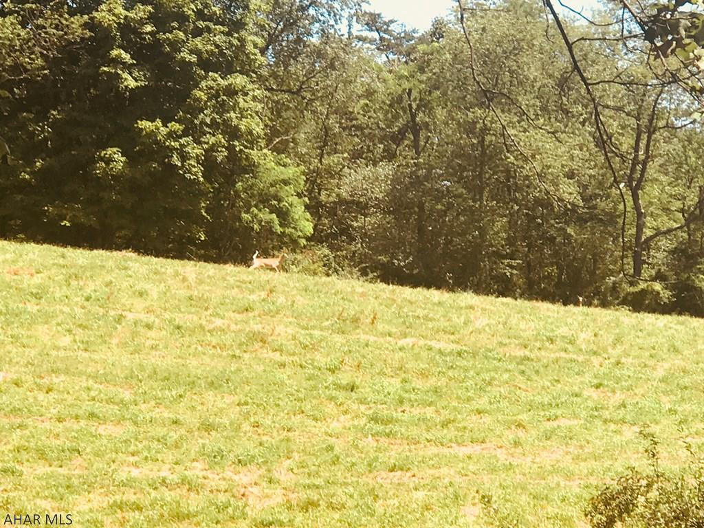 Woodland Terrace - Residential