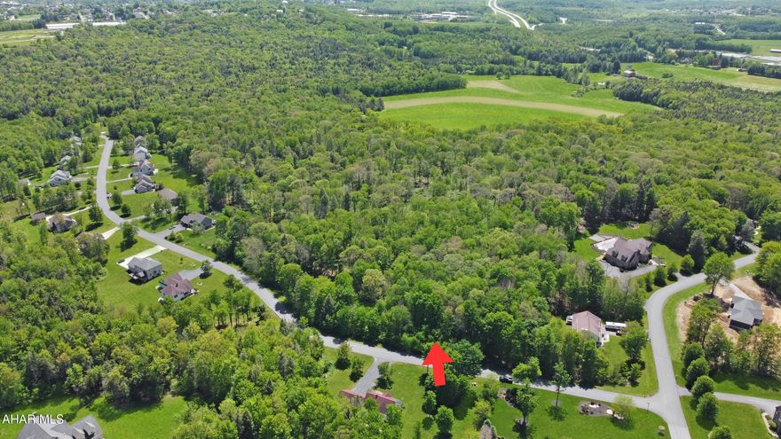 Welcome to an exceptional opportunity in the highly sought-after Emerald Estates development, featuring one of the most coveted remaining lots for sale. This remarkable property, spanning approximately an acre, presents the perfect canvas for building your dream home. Located within the esteemed Central Cambria School District, this picturesque neighborhood offers a beautiful setting that complements your vision of an ideal lifestyle. Enjoy the convenience of public utilities readily available in the street, simplifying the building process. This property specifically is extraordinarily rare as most of the surrounding property is in a land conservancy insuring that you will never have any neighbors to the rear of your property. Take the first step towards creating your dream home by contacting the listing agent for more information about the property and the development.