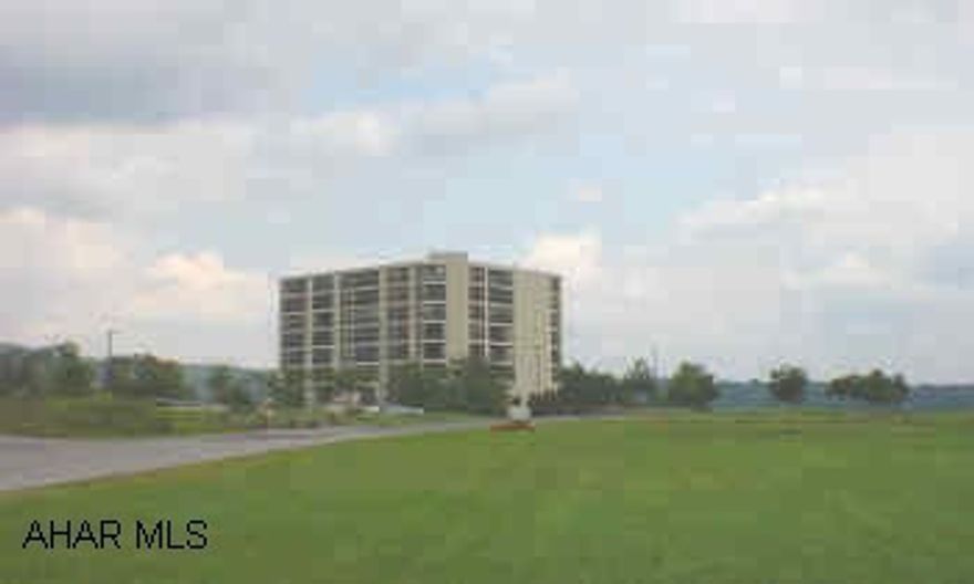 Large 4th floor condo with excellent view. 2 bedrooms, central air, wet bar, and all appliances. $250 association fee includes water, sewer, snow removal, ground floor parking, social room, trash removal, and more.