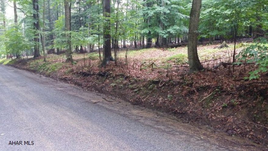 Nice flat wooded lot inside Glendale Yearound. Community Pool, basketball, tennis, and security. Minutes from Glendale Lake and State Game Lands. Perfect for a full time residence or a getaway.