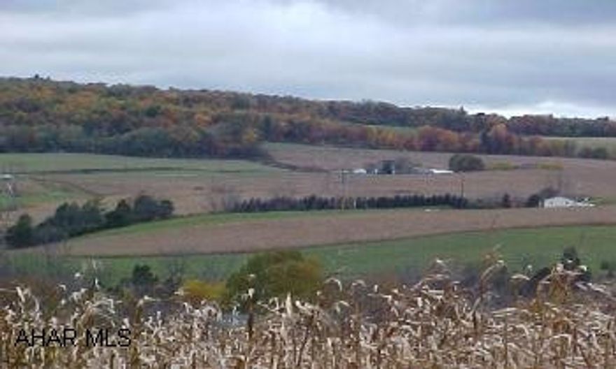 Rt. 22 from Hollidaysburg,R on Rt.866 to Williamsburg,R at Martins Gas Station, L on 2nd Street, Go 1.9 miles over bridge,L onto Lower Clover Creek ,2/10mile on R ( Borders Lower Clover Creek) R onto Troxell (Borders Troxell) R at arrow sign on property. Rt. 22 from Hollidaysburg,R on Rt.866 to Williamsburg,R at Martins Gas Station, L on 2nd Street, Go 1.9 miles over bridge,L onto Lower Clover Creek ,2/10mile on R ( Borders Lower Clover Creek) R onto Troxell (Borders Troxell) R at arrow sign on property. Currently planted in Corn. #J-782 Great View.