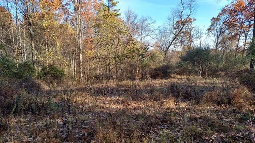 Great 6-acre parcel in Warriors Mark. Wooded and private. Call the listing agent to see a survey map. This would be a great spot to build your dream home.  Type in "Helena Chemicals" on your google maps. The road behind Helena Chemicals is Hundred Springs Road. I have a sign pointing to the right. Go about 1/4 mile to the property on the left. The property is to the right of the house shown in my pictures. Call the listing agent to meet you at the property...if you want.