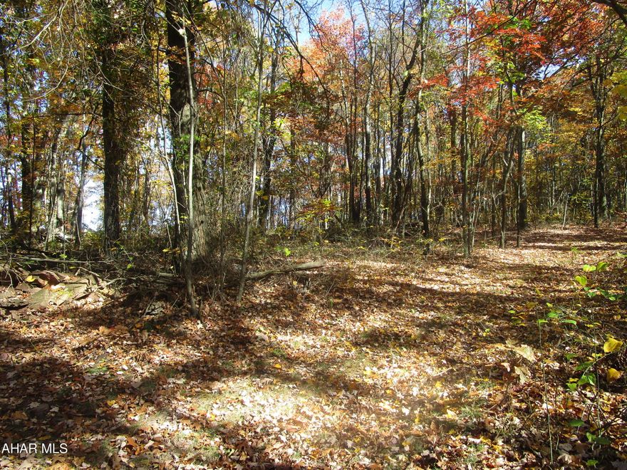 Looking for a little seclusion?  This property has the making to be an oasis away from everyday life or a hunter's paradise.  If you enjoy outdoor activities like hiking, biking, or skiing Blue Knob All Seasons Resort is approximately 10 miles away.  There are several structures on the property, including two homes that need extensive renovation or demolition.   Part of the land is wooded and on an incline, and divided into two parcels by the County road.   It is reported that there are two wells, each servicing one of the structures but nothing is known about sewage disposal systems for either former residence.  The vehicles stored on the property are to be removed by the Estate as soon as possible.