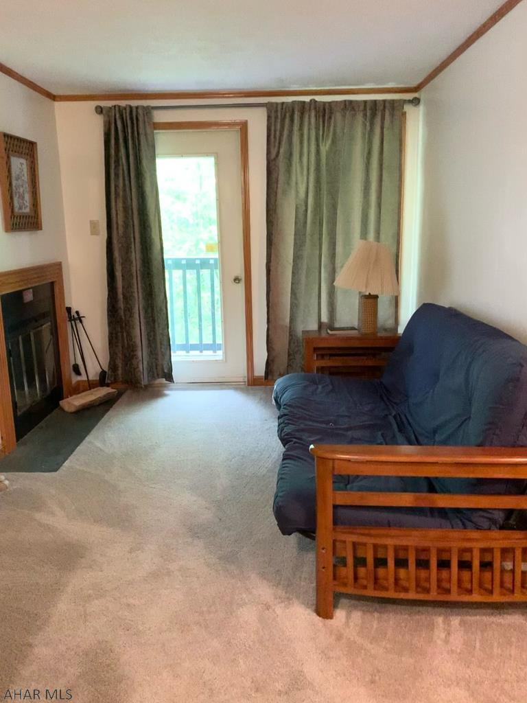 Blue Knob - Residential