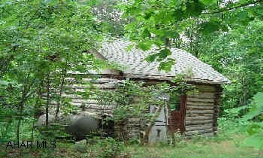 Hunter's Paradise. 1 room log home with storage loft on 93+/- acres with a year round stream. Mostly wooded with approx. 5+/- acre field with a great view.  Two spring feed pond, one approx 5 acres.