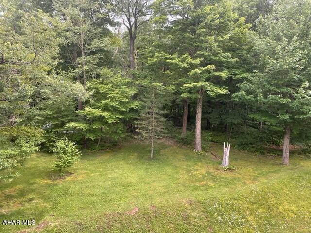 Blue Knob - Residential