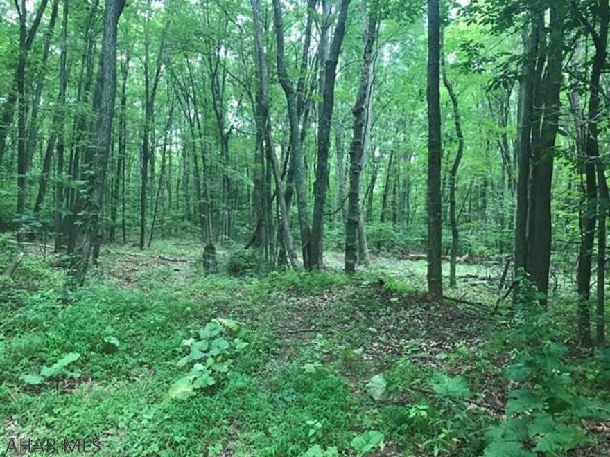 Beautiful building lot of 5.047 acres.   Lot is private and wooded.