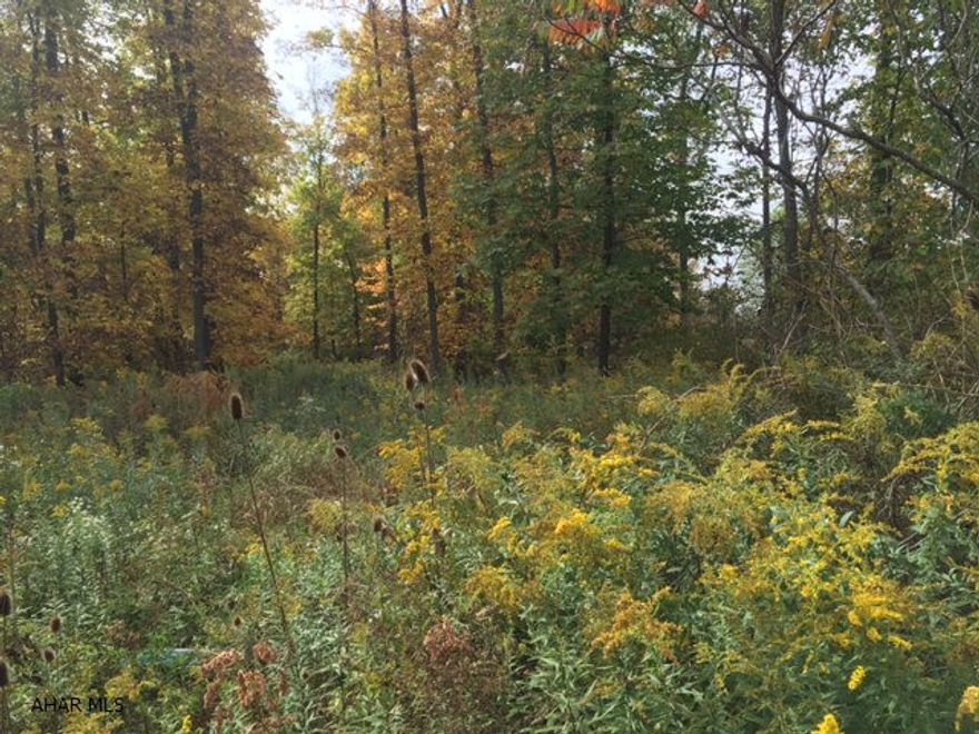 Conveniently located between Ryot and New Paris.  This parcel has public sewage available and would make the ideal location for a trailer or camper. Buyer to drill well and hook up to public sewage at buyer's expense.