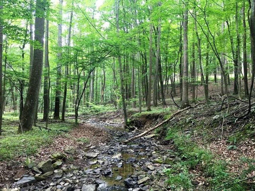 Nice lot within walking distance of State Game Lands. Small stream on property and level place to put a camp. Do not enter small shed on property.