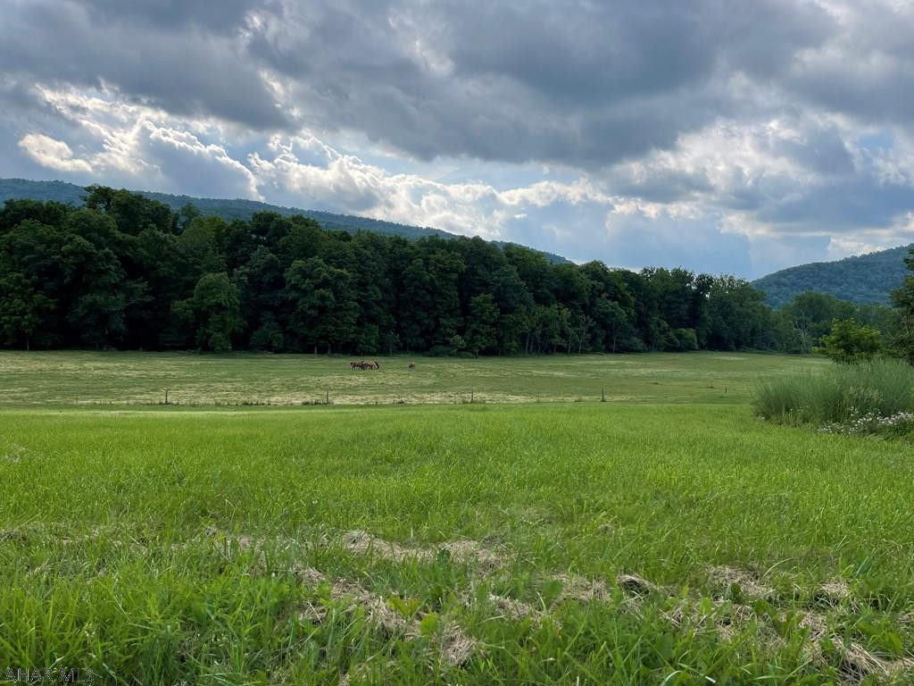 Cove Park Acres - Land