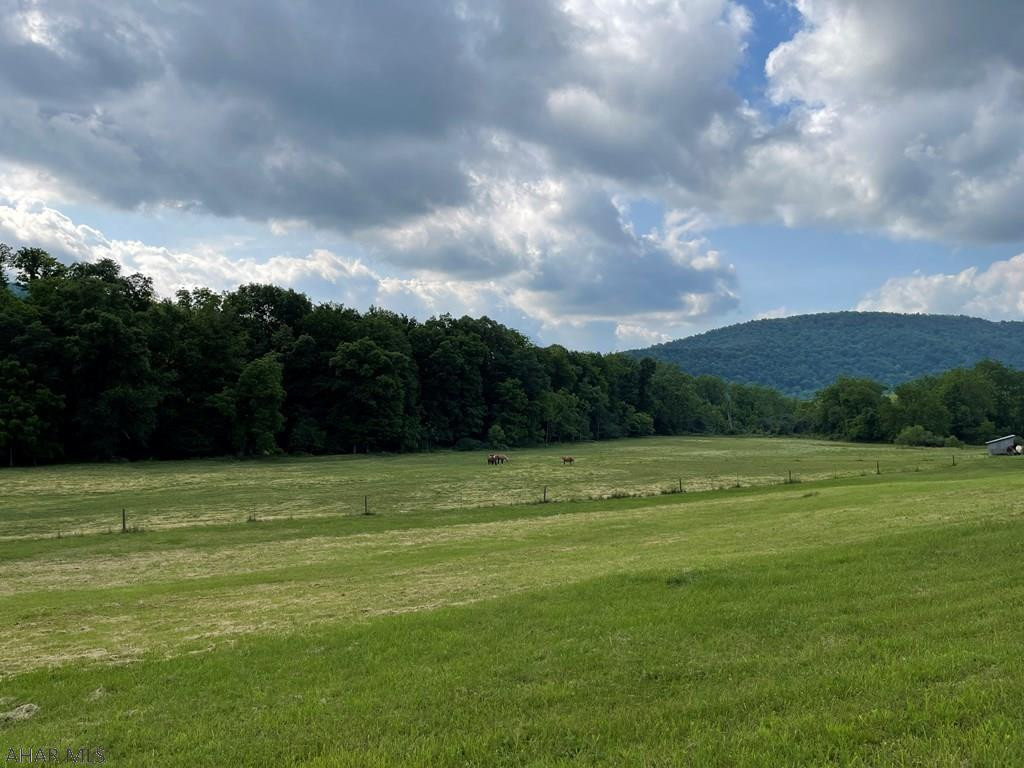 Cove Park Acres - Land