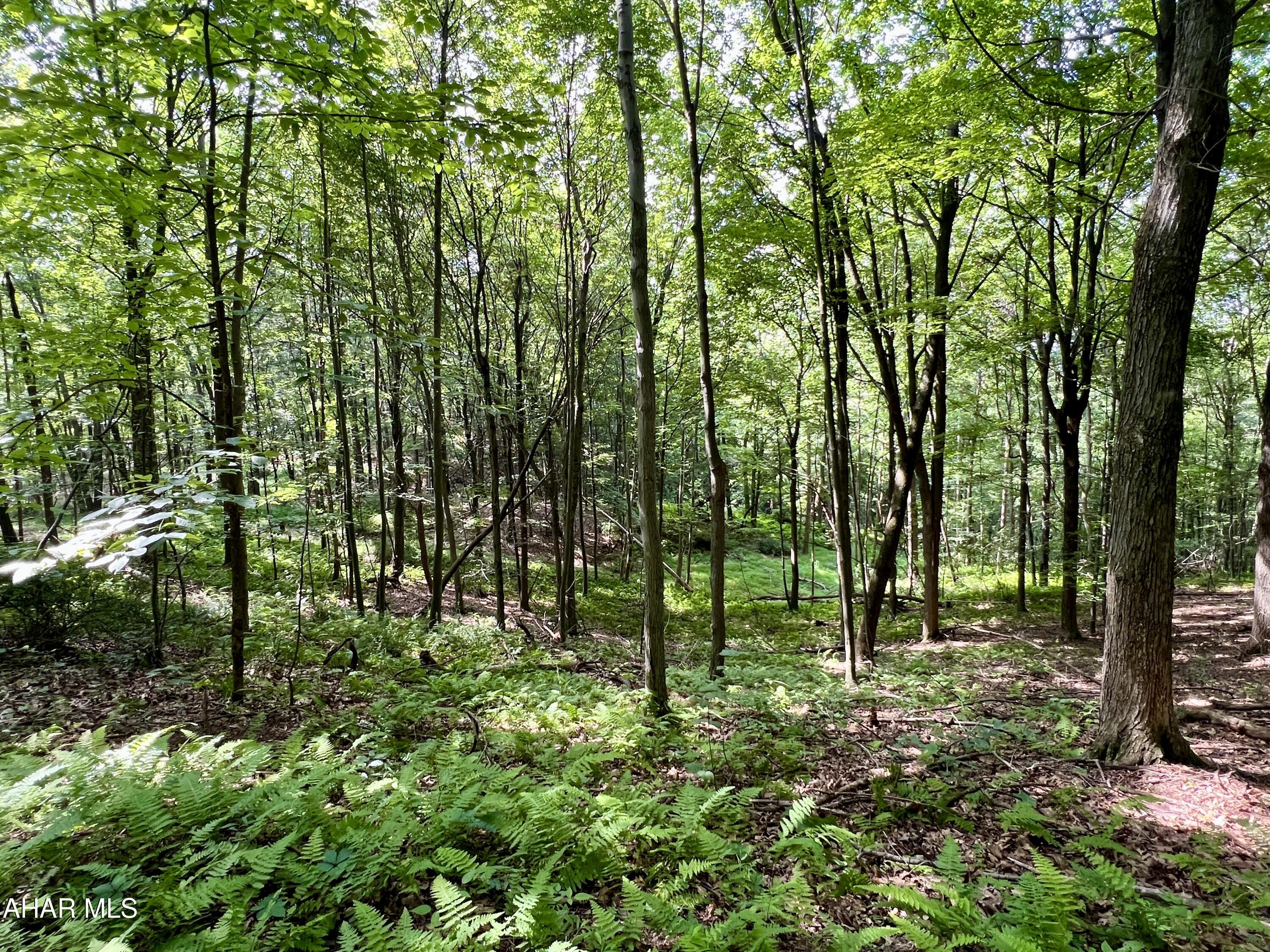 None - Commercial Sale